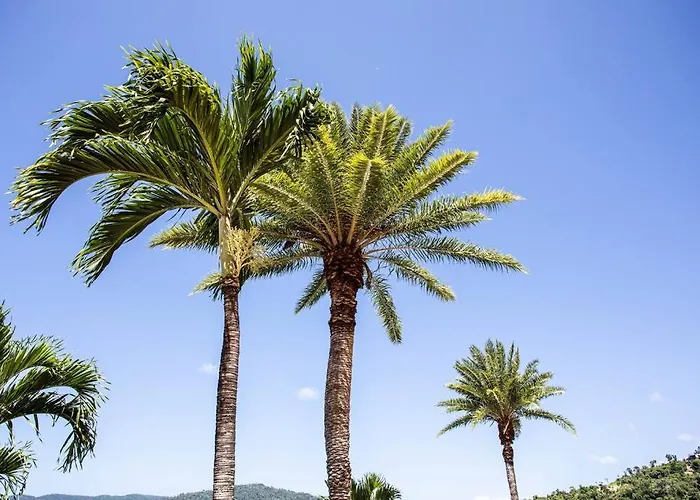 Star View 9, Pool, Wifi, Sleep 4, Best Views In Airlie